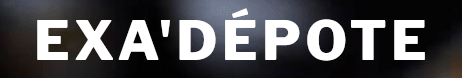 logo_Exadepote